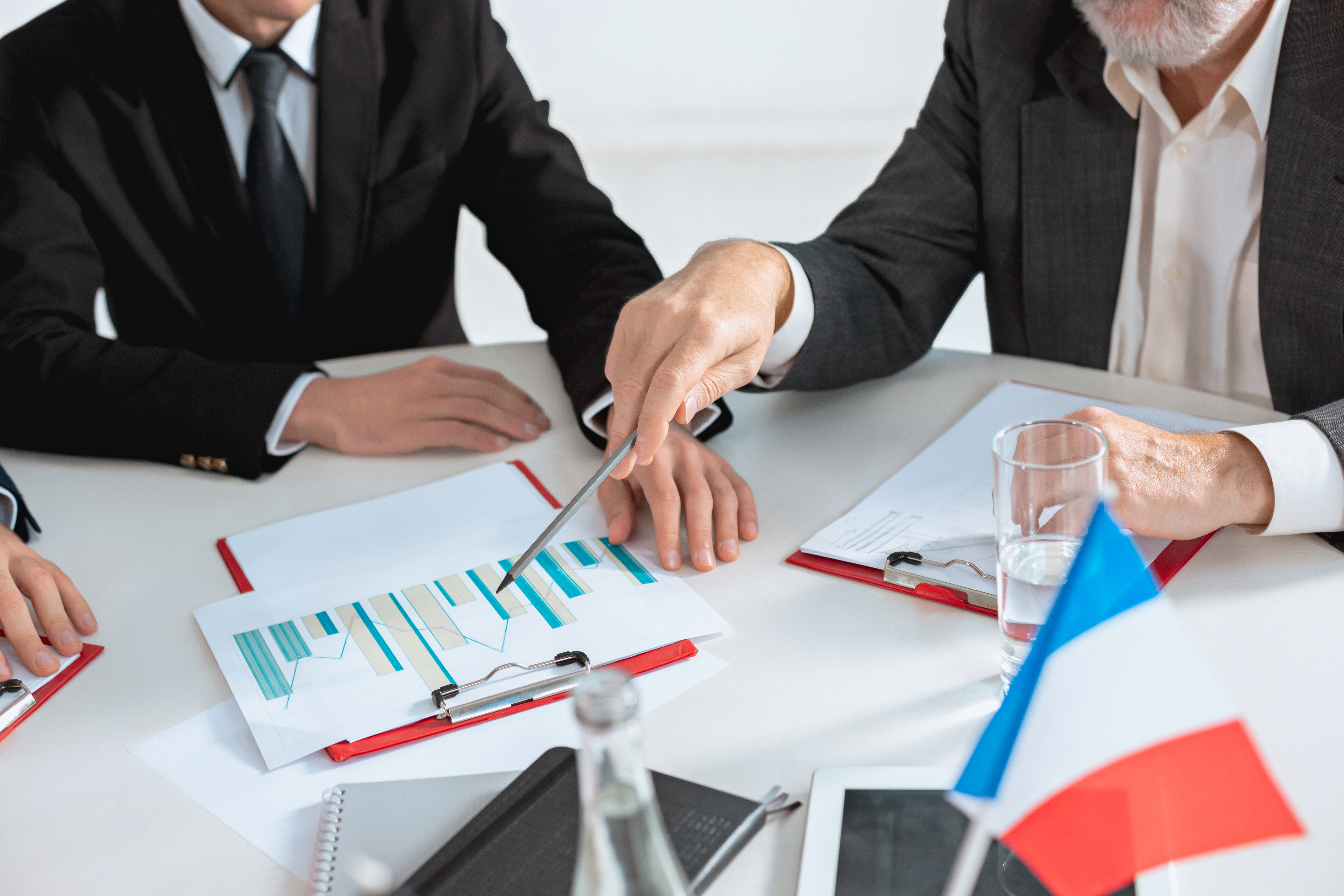 Business Proposal Translation (20 - 59 Pages)